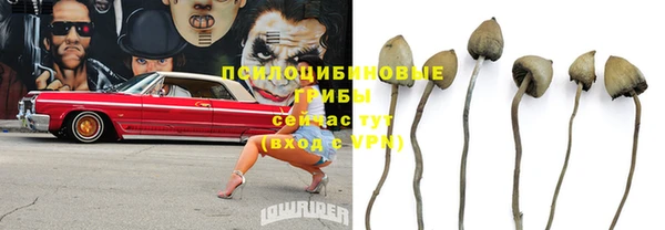 наркотики Абинск