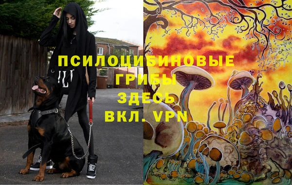 наркотики Абинск