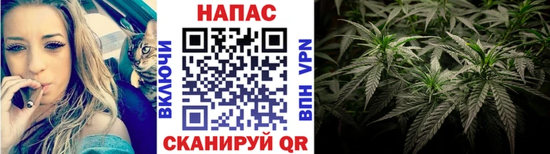 Шишки марихуана индика  блэк спрут ONION  Чегем 